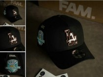 MLB Los Angeles Dodgers Snapback Hat (552)