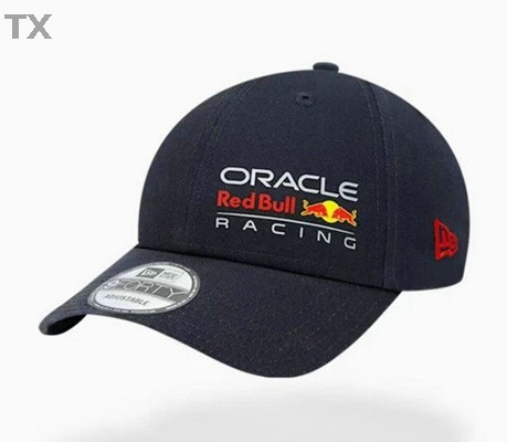 Red Bull Snapback Hat (67)