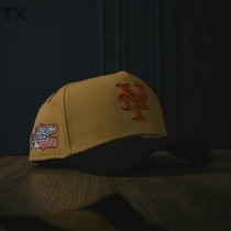 MLB New York Mets Snapback Hat (65)