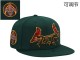 MLB St Louis Cardinals Snapback Hat (109)