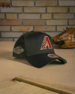 MLB Arizona Diamondbacks Snapback Hat (33)