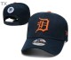 MLB Detroit Tigers Snapback Hat (83)