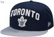 MLB Toronto Blue Jays Snapback Hat (123)