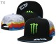 Monster Snapback Hat (35)