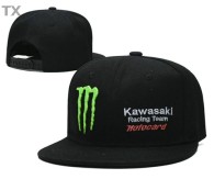 Monster Snapback Hat (39)