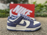 Authentic Nike Dunk Low Voile/World Indigo/Sail