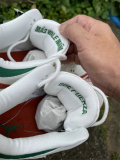 Authentic Air Jordan 3 Mexico El Vuelo