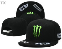 Monster Snapback Hat (29)