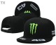 Monster Snapback Hat (29)