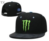 Monster Snapback Hat (36)