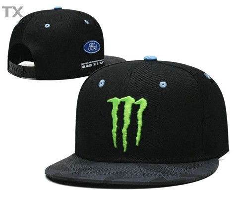 Monster Snapback Hat (36)