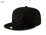 NFL Philadelphia Eagles Snapback Hat (315)
