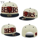NFL Chicago Bears Snapback Hat (180)