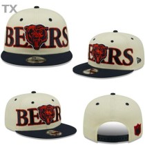 NFL Chicago Bears Snapback Hat (180)