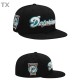 NFL Miami Dolphins Snapback Hat (48)
