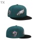 NFL Philadelphia Eagles Snapback Hat (328)