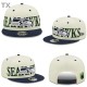 NFL Philadelphia Eagles Snapback Hat (316)