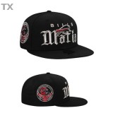NFL Buffalo Bills Snapback Hat (121)