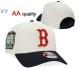 MLB Boston Red Sox Snapback Hats (196)