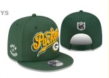NFL Green Bay Packers Snapback Hat (194)