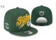 NFL Green Bay Packers Snapback Hat (194)