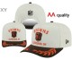 NFL Cleveland Browns Snapback Hat (71)