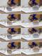 LV Sunglasses AAA (40)