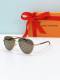 LV Sunglasses AAA (97)