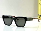 Gucci Sunglasses AAA (21)