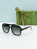 Gucci Sunglasses AAA (105)