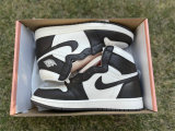 Authentic Air Jordan 1 High OG Light Madder Root