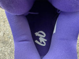 Authentic Air Jordan 4 “Canyon Purple”