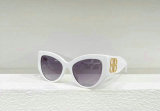 Balenciaga Sunglasses AAA (209)