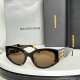 Balenciaga Sunglasses AAA (16)