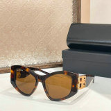 Balenciaga Sunglasses AAA (597)