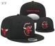 NBA Chicago Bulls Snapback Hat (13)