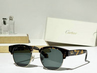 Cartier Sunglasses AAA (673)