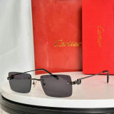 Cartier Sunglasses AAA (408)