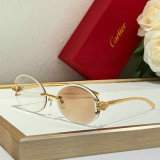 Cartier Sunglasses AAA (1185)
