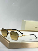 Cartier Sunglasses AAA (783) Cartier Sunglasses AAA (783)