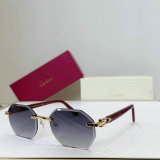 Cartier Sunglasses AAA (173)
