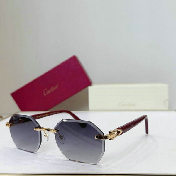 Cartier Sunglasses AAA (173)