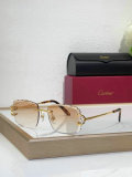 Cartier Sunglasses AAA (1257)