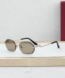 Cartier Sunglasses AAA (2005)