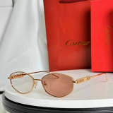 Cartier Sunglasses AAA (94)