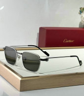 Cartier Sunglasses AAA (504)