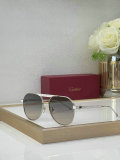 Cartier Sunglasses AAA (651)