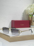 Cartier Sunglasses AAA (395)