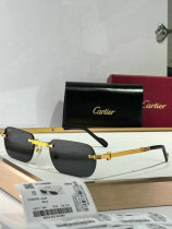 Cartier Sunglasses AAA (1124) Cartier Sunglasses AAA (1124)
