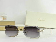 Cartier Sunglasses AAA (479)